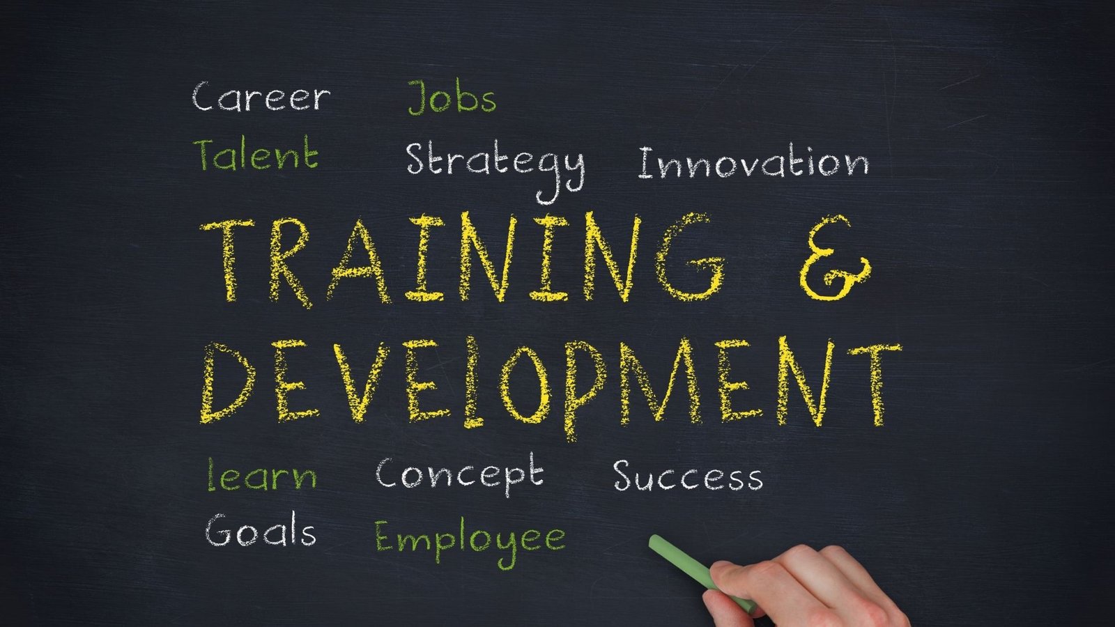 Program Görseli (5)