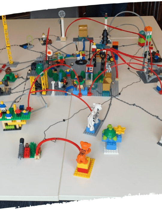 LEGO®️ SERIOUS PLAY®